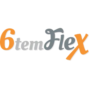 6Temflex Avis Prix logiciel Création de Sites Internet