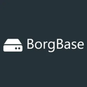 BorgBase Avis Prix outil de Développement