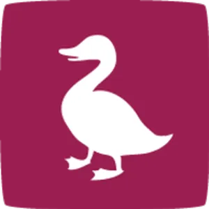 Ducksboard Avis Prix logiciel Business Intelligence - Analytics