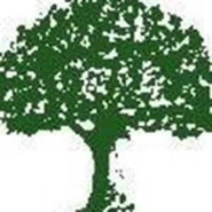 Igreentree Avis Prix logiciel de suivi des candidats (ATS - Applicant Tracking System)