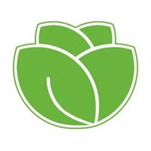 Lettuce.io Avis Prix outil de bases de données