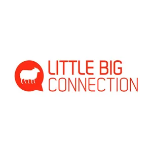 Little Big Connection