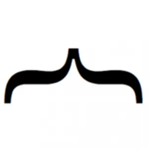 Mustache Avis Prix templating