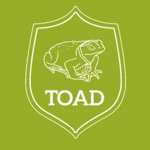Toad Avis Prix outil de bases de données