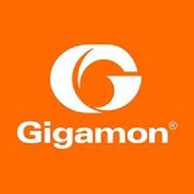 Gigamon est une plateforme de stockage cloud: Découvrez son prix