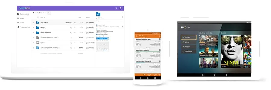 Seedbox : le service pour télécharger et partager vos fichiers