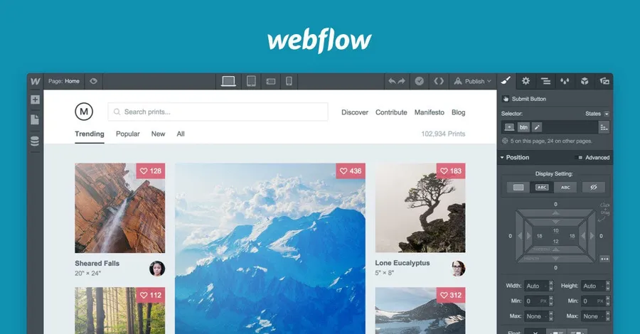 cms webflow cms webflow