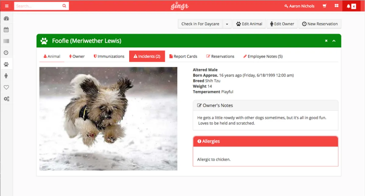 Gingr : avis des utilisateurs, avantages & inconvénients de ce logiciel pour garde d'animaux