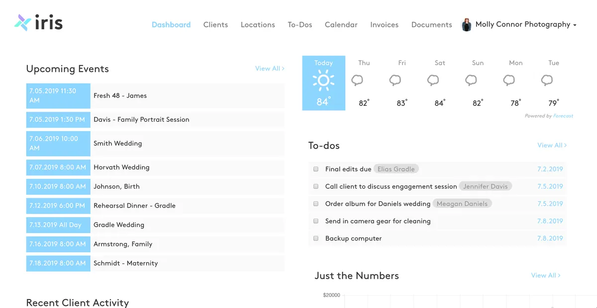 IRIS : avis des utilisateurs, avantages & inconvénients de ce framework front-end / full-stack