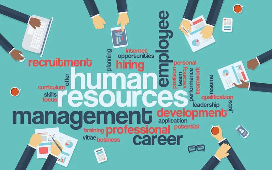 pme comment optimiser votre processus de recrutement 3 pme comment optimiser votre processus de recrutement 3