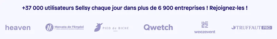 Sellsy : références clients
