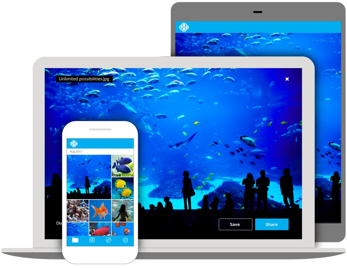 Sync.com : avis des utilisateurs, avantages & inconvénients de ce logiciel de stockage / partage fichiers Sync.com : avis des utilisateurs, avantages & inconvénients de ce logiciel de stockage / partage fichiers