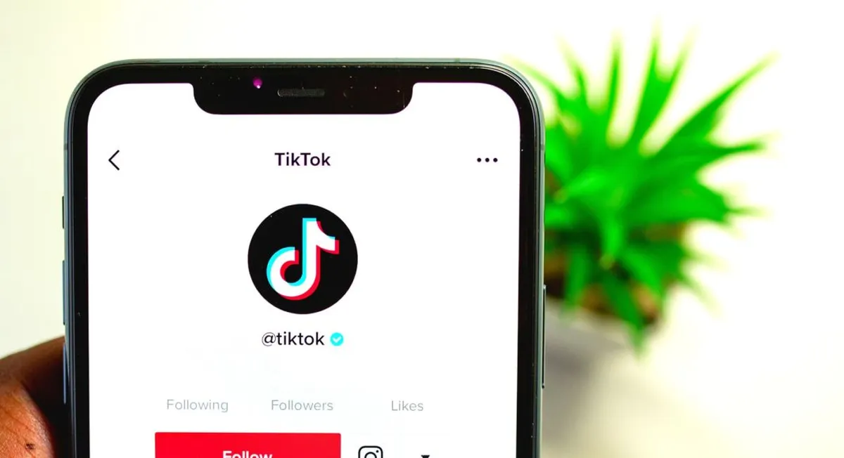 tiktok tiktok