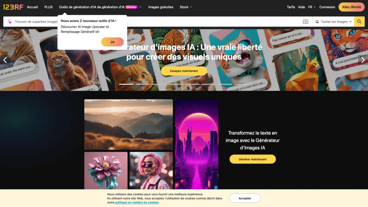 Interface 123RF : fonctionnalités, prix, alternatives