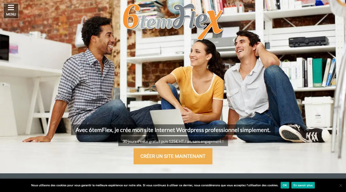 Interface 6Temflex : fonctionnalités, prix, alternatives