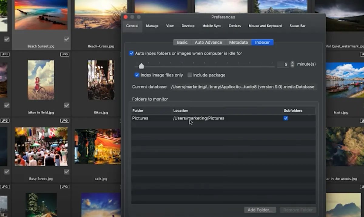 Interface ACDSee Pro: fonctionnalités, prix, alternatives