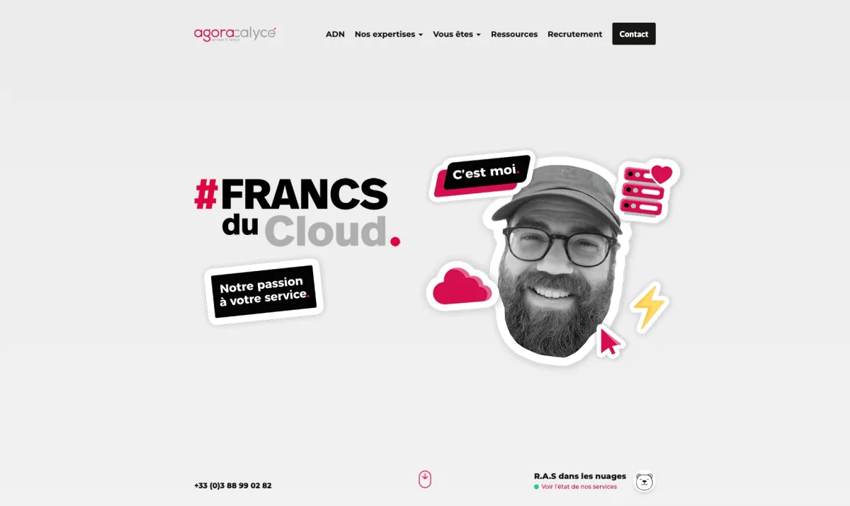 Notre avis sur Agoracalyce.Com : un hébergeur web et gestionnaire de domaines à découvrir