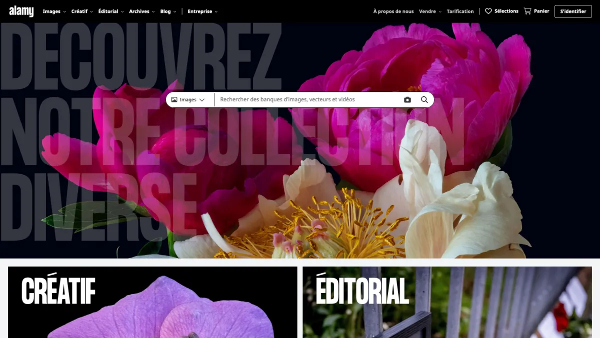 Interface Alamy : image, ergonomie, alternatives Interface Alamy : image, ergonomie, alternatives