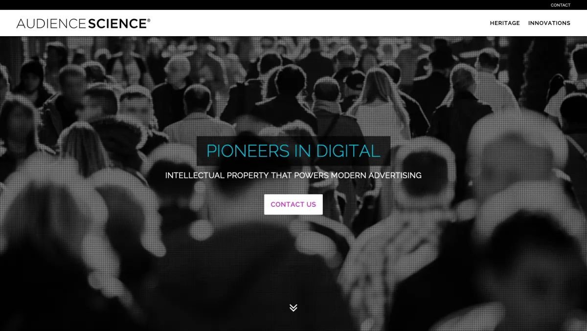 Interface AudienceScience : image, ergonomie, alternatives