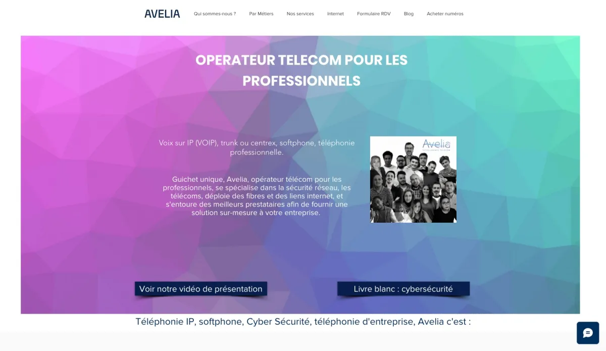 Notre avis sur Avelia Connect : un progiciel à découvrir Notre avis sur Avelia Connect : un progiciel à découvrir