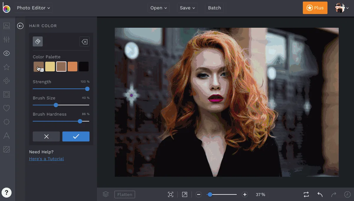 Interface BeFunky: fonctionnalités, prix, alternatives