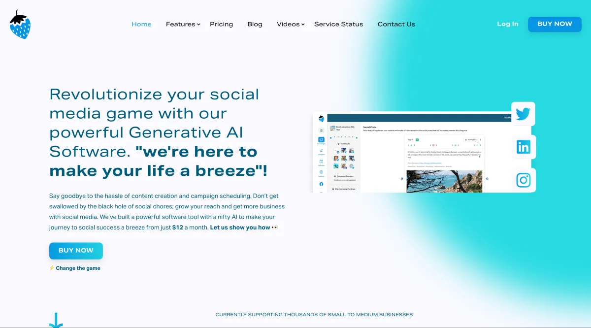 Notre avis sur Blue Strawberry : un logiciel de marketing à découvrir Notre avis sur Blue Strawberry : un logiciel de marketing à découvrir