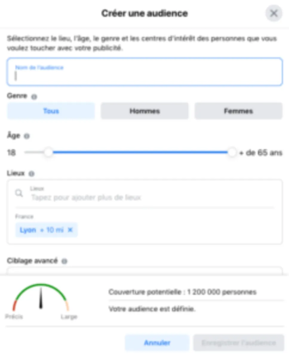 Interface Boxraiser: fonctionnalités, prix, alternatives