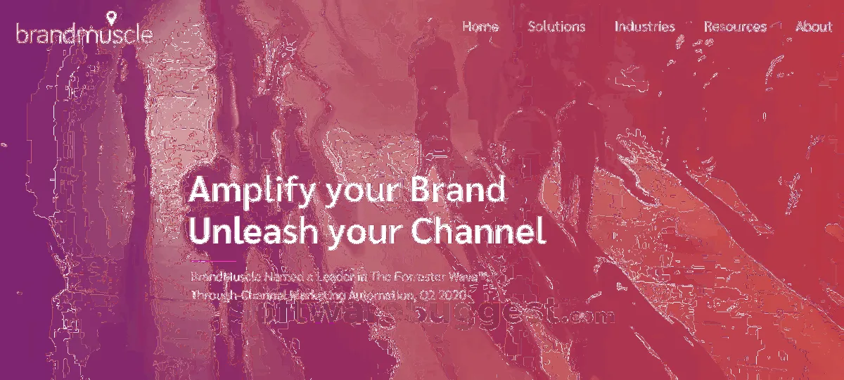 Notre avis sur Brandmuscle : un logiciel de gestion de marque (branding) à découvrir Notre avis sur Brandmuscle : un logiciel de gestion de marque (branding) à découvrir