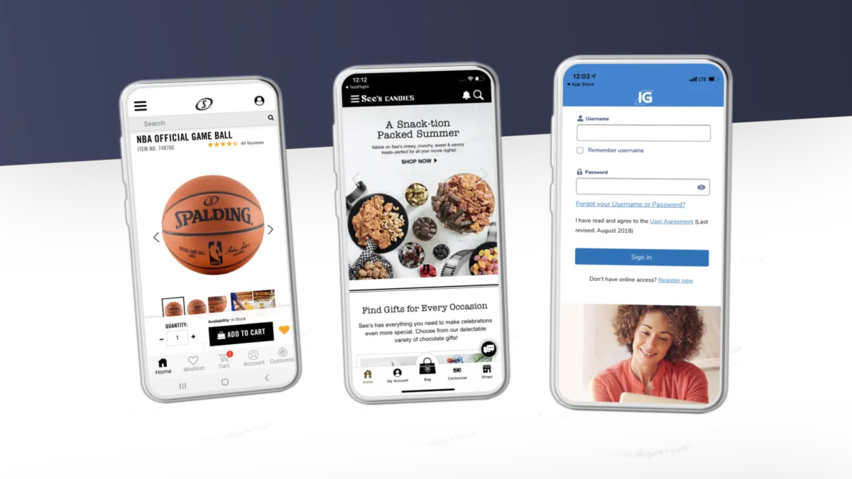 Interface Bryj: fonctionnalités, prix, alternatives