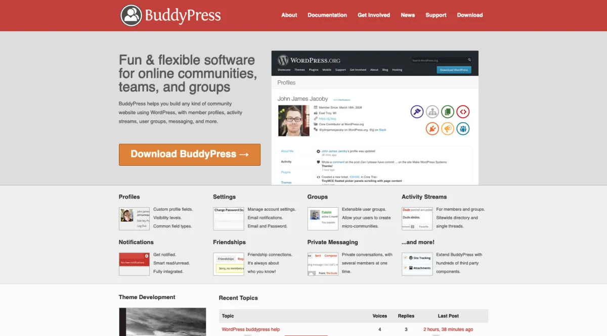 Interface BuddyPress : fonctionnalités, prix, alternatives Interface BuddyPress : fonctionnalités, prix, alternatives