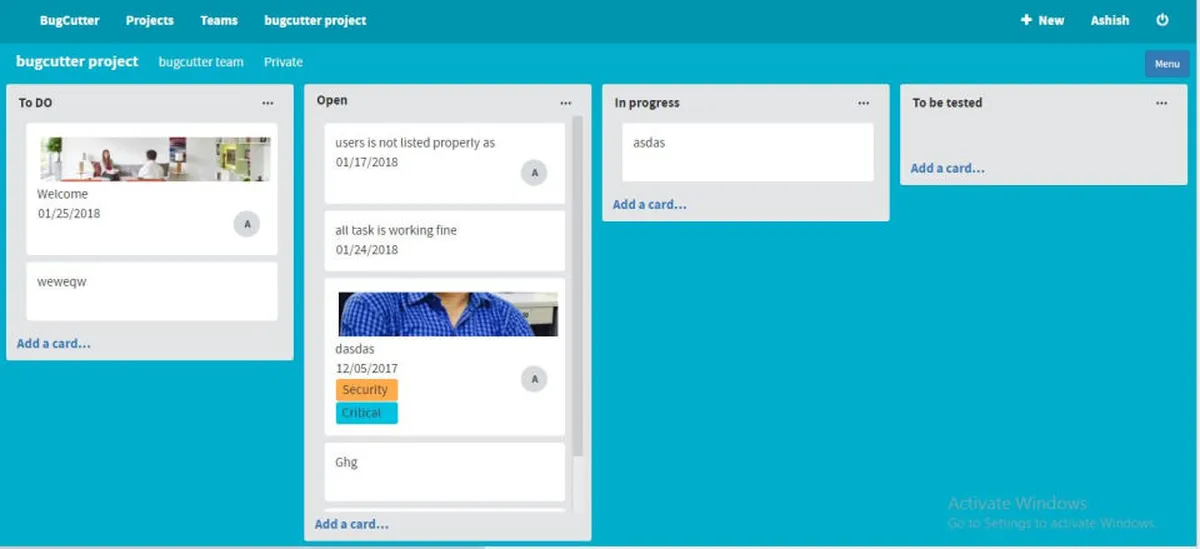 Interface Bugcutter: fonctionnalités, prix, alternatives