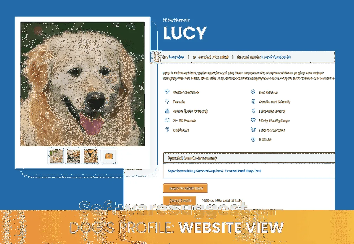 Notre avis sur Buzz to the Rescues : un logiciel de gestion d'association et ONG à découvrir