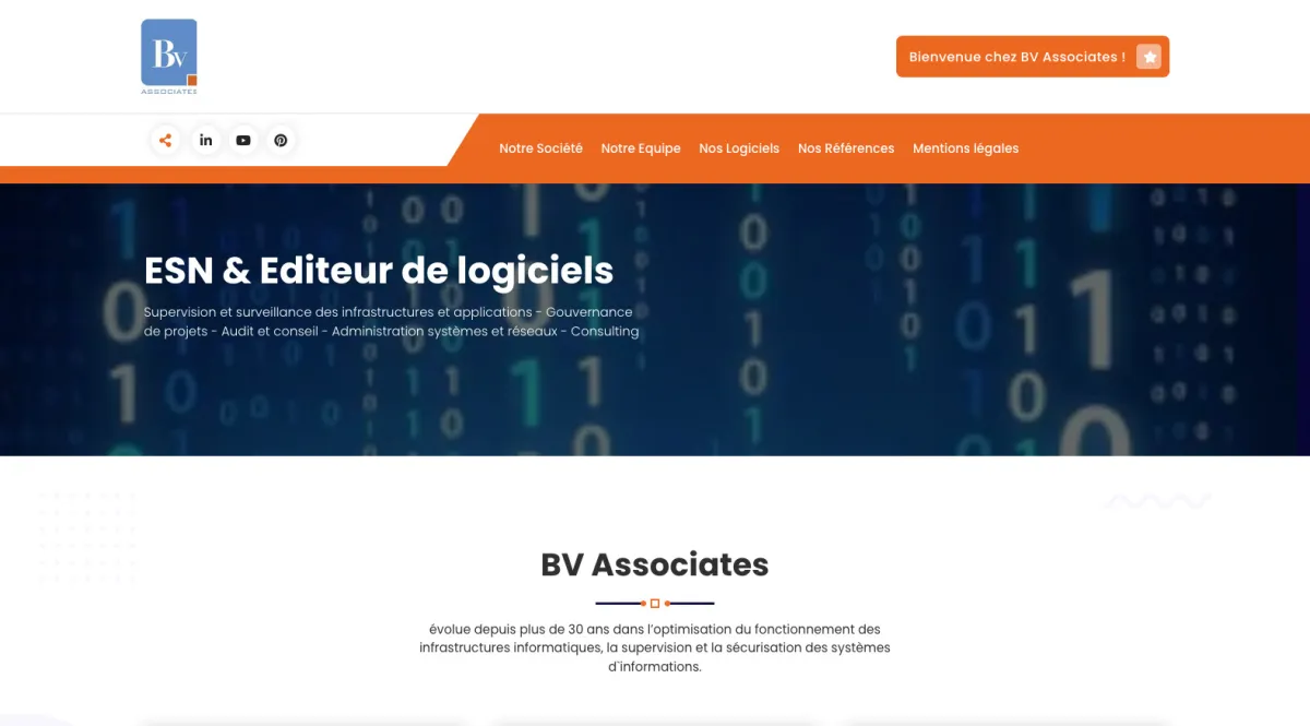 Notre avis sur BV ASSOCIATES : un progiciel à découvrir