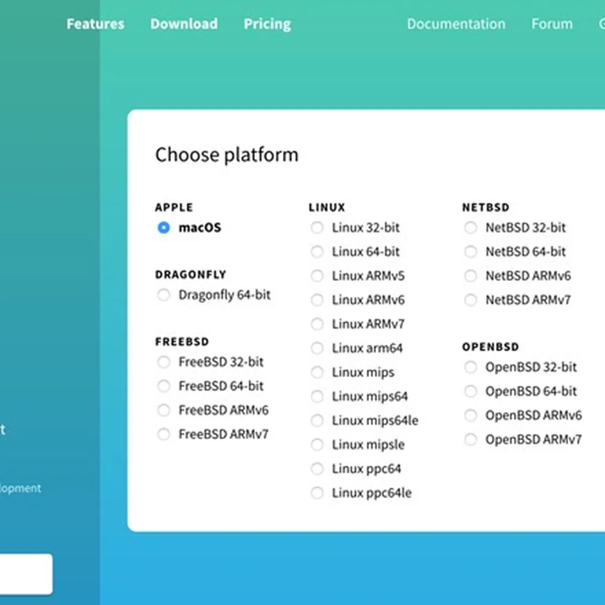 Notre avis sur Caddy Server : un logiciel DevOps à découvrir
