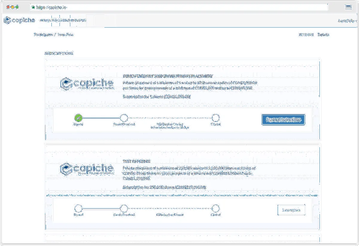 Notre avis sur Capiche : un logiciel de gestion de portefeuille d'actions à découvrir