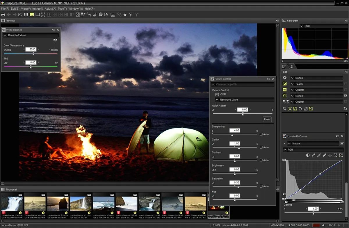 Capture NX-D: avis sur le logiciel de graphisme: fonctionnalités, avantages, inconvénients et tarifs