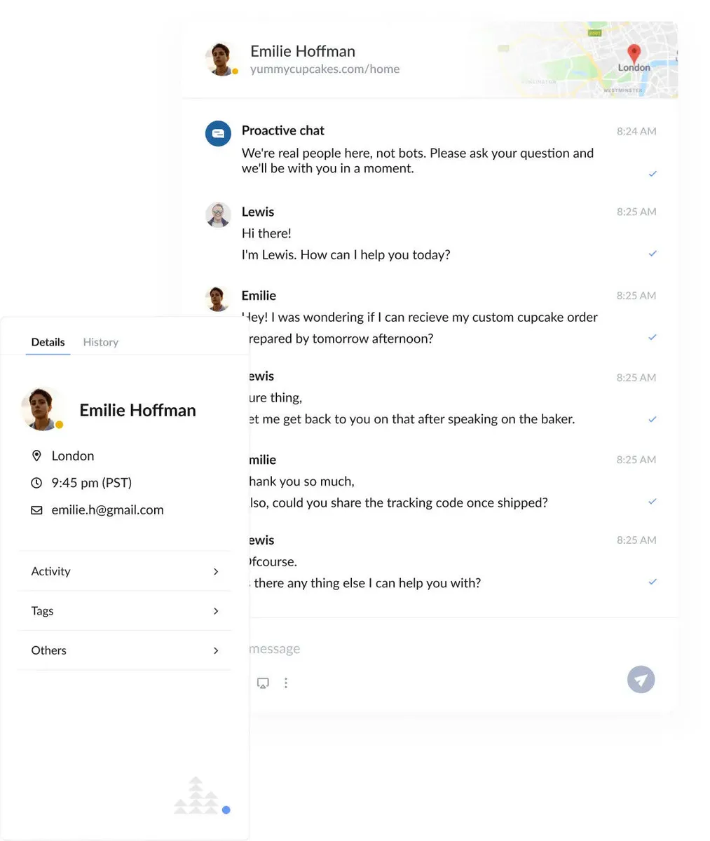 Interface ChatSupport: fonctionnalités, prix, alternatives