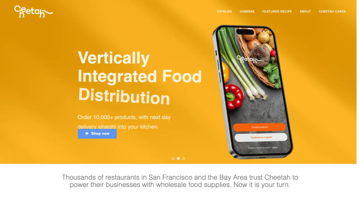 Interface Cheetah : image, ergonomie, alternatives