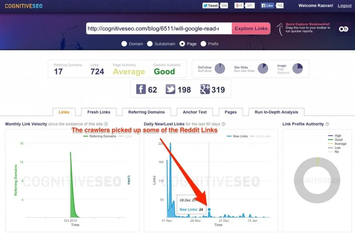 Interface Cognitive SEO: fonctionnalités, prix, alternatives