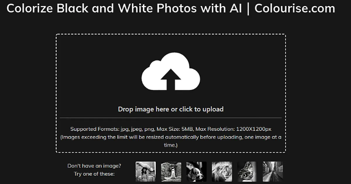 Colourise: avis sur le logiciel de retouche photo / édition d'image: fonctionnalités, avantages, inconvénients et tarifs