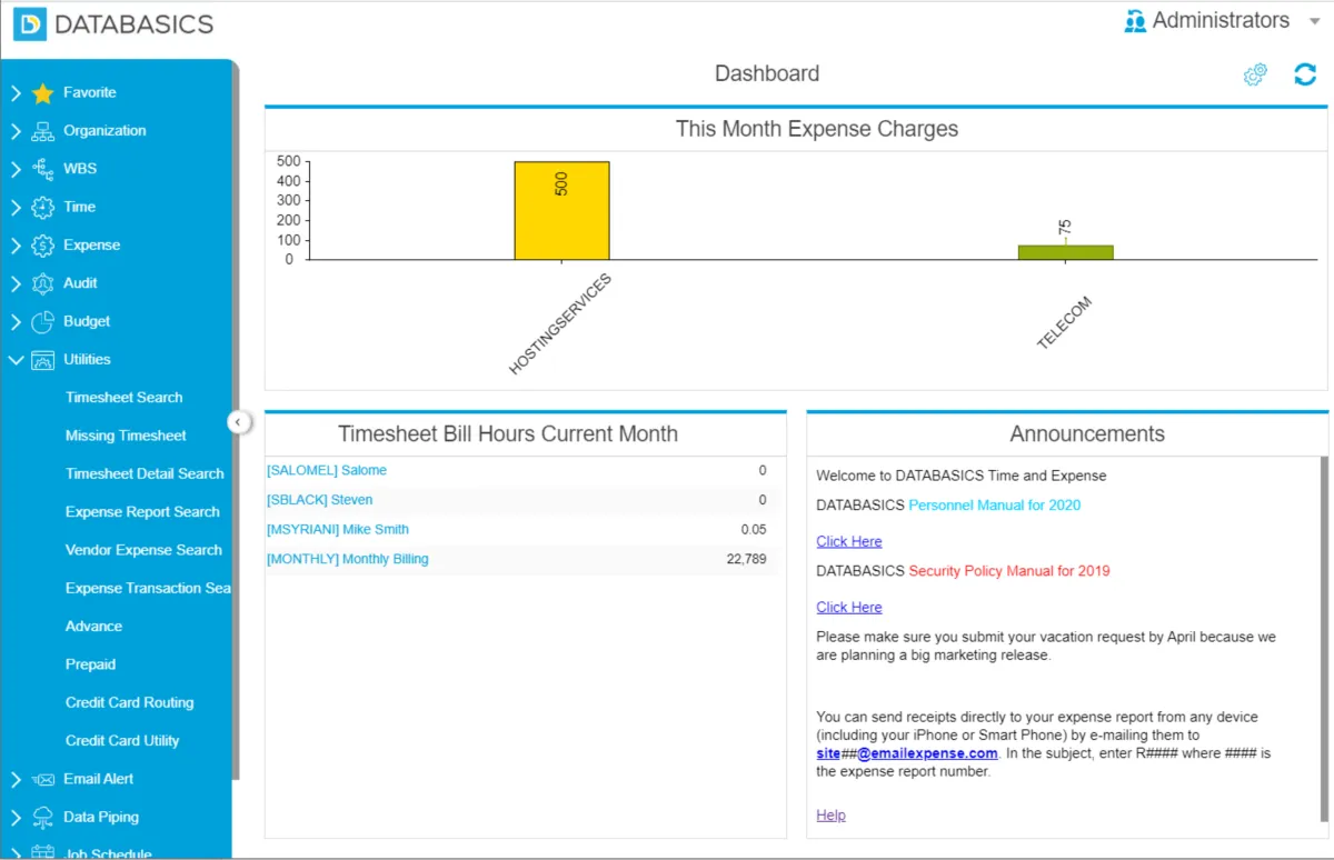 Interface DATABASICS Time & Expense: image, ergonomie, alternatives