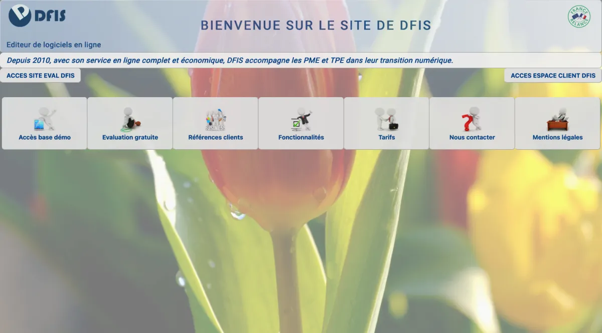 Interface DFIS Facturation : image, ergonomie, alternatives