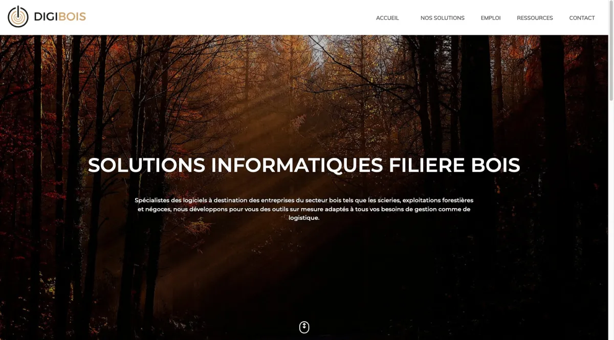 Notre avis sur DIGIBOIS : un progiciel à découvrir
