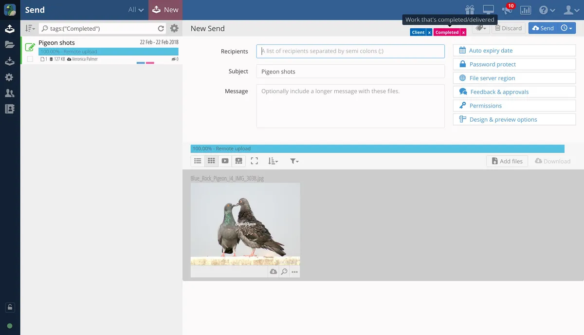 Interface Digital Pigeon: fonctionnalités, prix, alternatives Interface Digital Pigeon: fonctionnalités, prix, alternatives