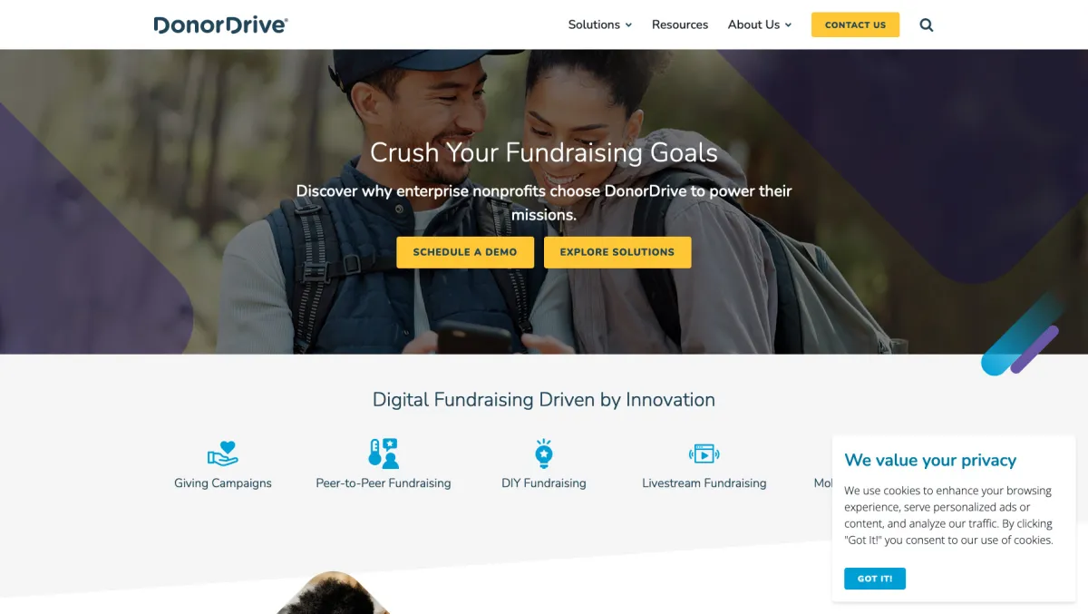 Interface DonorDrive : fonctionnalités, prix, alternatives