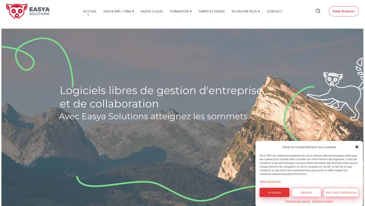 Interface Easya Solutions : image, ergonomie, alternatives