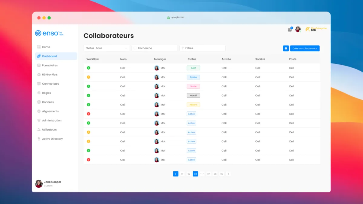 Interface Enso: fonctionnalités, prix, alternatives