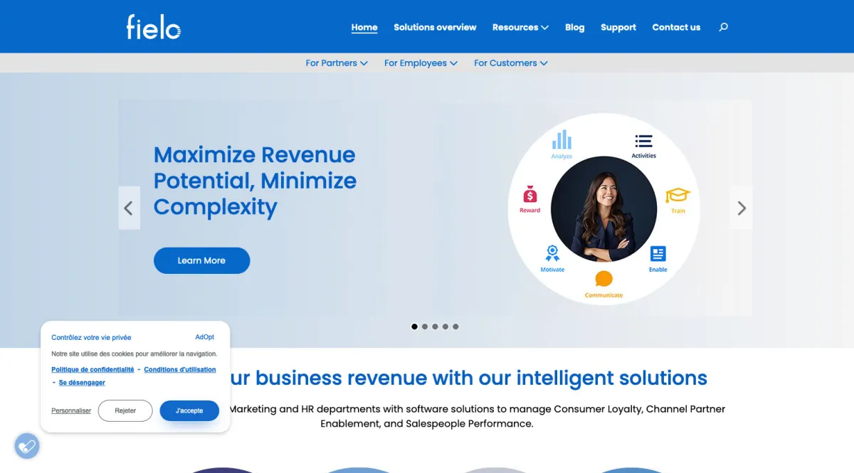 Interface Fielo : image, ergonomie, alternatives