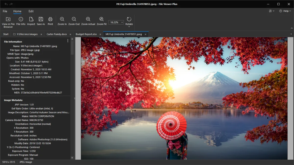 Interface File Viewer Plus: fonctionnalités, prix, alternatives