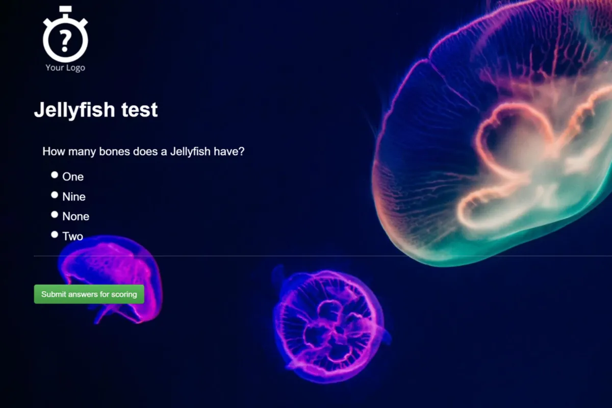 FlexiQuiz: avis sur le logiciel pour école: fonctionnalités, avantages, inconvénients et tarifs FlexiQuiz: avis sur le logiciel pour école: fonctionnalités, avantages, inconvénients et tarifs